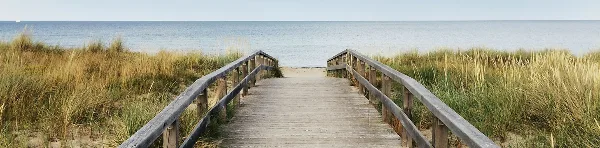 A wooden boardwalk pathway leading through dune grass to a sandy beach and the ocean.