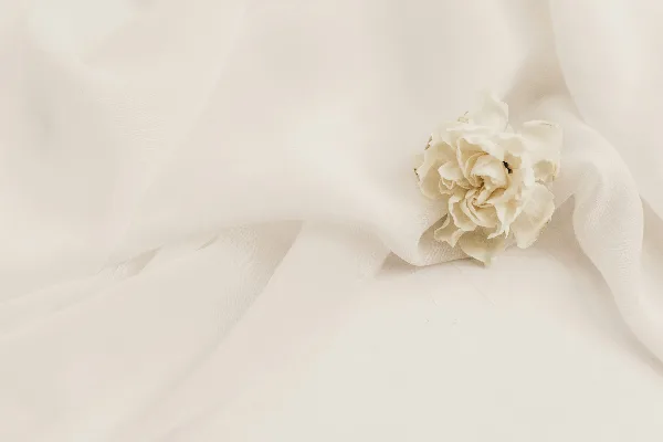 A white flower resting on draped white fabric