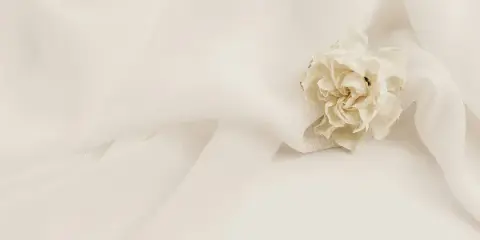 A white flower resting on draped white fabric