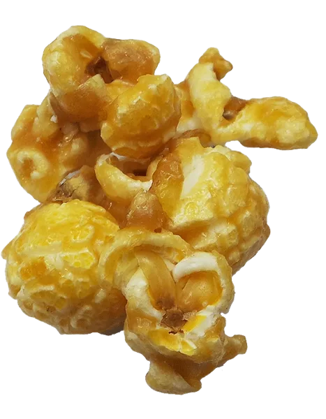 Close-up of caramel-coated gourmet popcorn kernels
