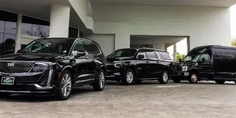 A lineup of black luxury vehicles including an SUV and a passenger van parked in front of a building.