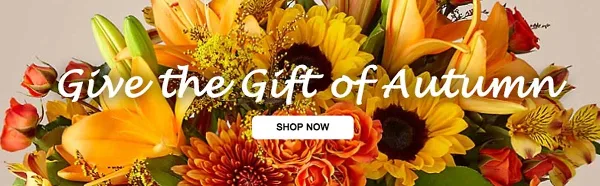 A close-up of a colorful floral arrangement with sunflowers, orange lilies, and red roses, overlaid with the text 'Give the Gift of Autumn' and a 'Shop Now' button.
