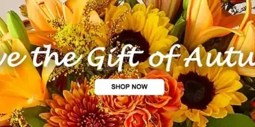 A close-up of a colorful floral arrangement with sunflowers, orange lilies, and red roses, overlaid with the text 'Give the Gift of Autumn' and a 'Shop Now' button.