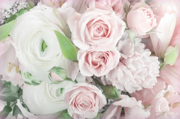 Close-up of a floral arrangement with pink roses, white ranunculus, and lilies.