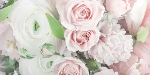 Close-up of a floral arrangement with pink roses, white ranunculus, and lilies.