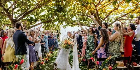 A bride and groom kiss during an outdoor wedding ceremony under a large tree while guests cheer and raise their hands.