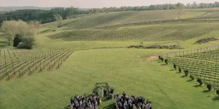 An aerial view of a wedding ceremony taking place in a vineyard, with the couple at the altar and guests seated on benches.