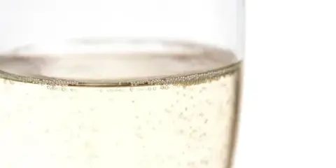 Close-up of a glass of champagne with bubbles against a white background.