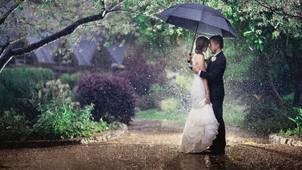 A bride and groom embracing under a black umbrella in a rainy garden setting.