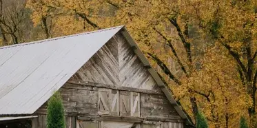 Exterior view of a rustic wooden barn wedding venue with a metal roof, surrounded by evergreen trees and autumn foliage.