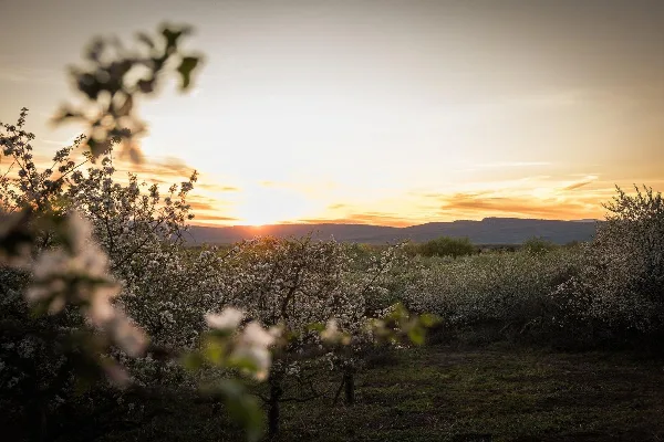 Liberty View Farm - Highland NY wedding venue