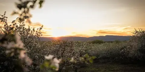 Liberty View Farm - Highland NY wedding venue