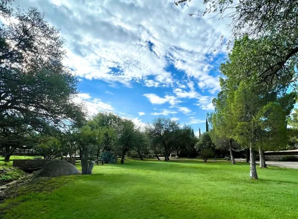 Wide shot of a green grassy lawn at a guest ranch with scattered oak trees and a blue sky.