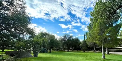 Wide shot of a green grassy lawn at a guest ranch with scattered oak trees and a blue sky.