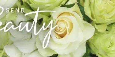 Close-up photograph of white and green roses with the text 'SEND Beauty' overlaid.