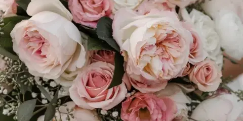 Close-up of a floral arrangement with pink and white roses and greenery.