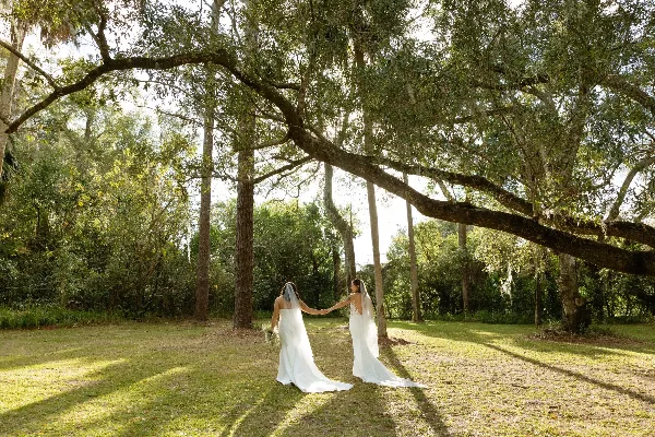 A bride and partner holding hands in a white dress and suit, standing in a grassy area under large trees.