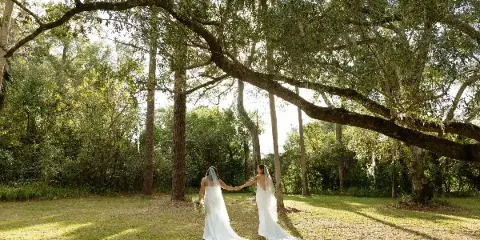 A bride and partner holding hands in a white dress and suit, standing in a grassy area under large trees.