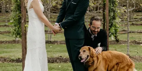 A bride and groom holding hands during an outdoor wedding ceremony with an officiant kneeling beside them and a golden retriever.