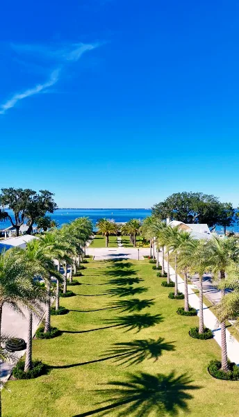 Aerial view of a waterfront venue lawn lined with palm trees leading to a bay.