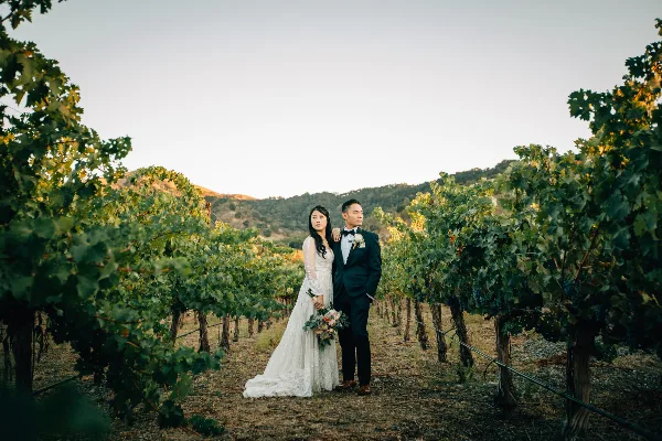 A bride and groom posing together in a vineyard during golden hour.