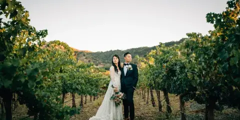 A bride and groom posing together in a vineyard during golden hour.