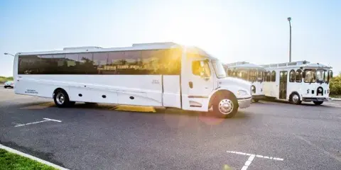 A fleet of white executive shuttles and trolleys parked in a lot at sunset.