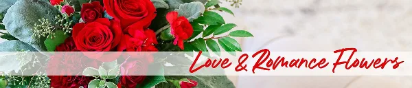 A close-up photograph of a floral arrangement featuring red roses, red carnations, and green foliage.