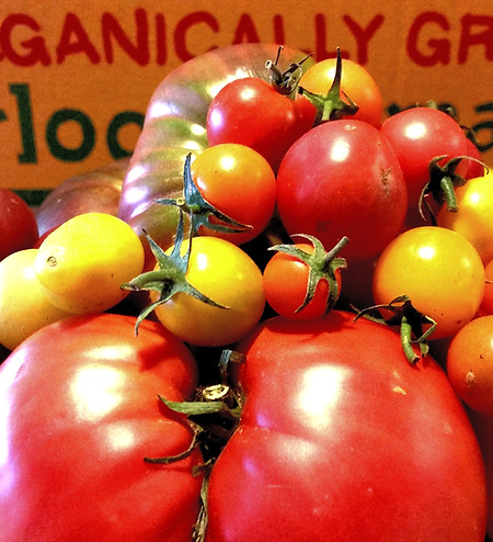 Fresh heirloom tomatoes in red and yellow varieties displayed in a market setting.