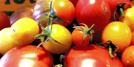 Fresh heirloom tomatoes in red and yellow varieties displayed in a market setting.