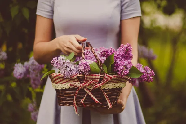 A person holding a wicker basket filled with fresh purple lilac flowers.