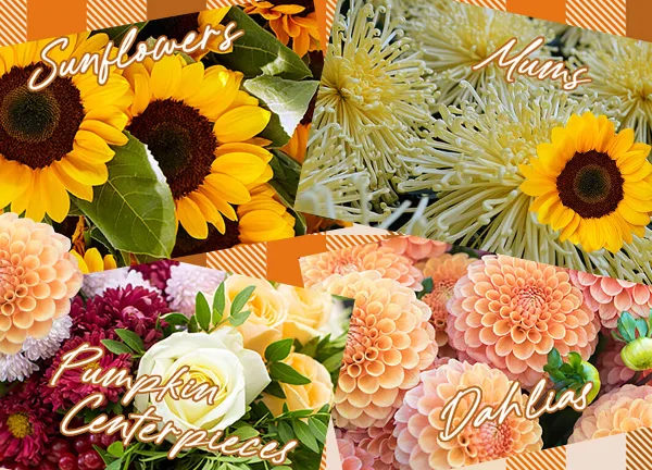 A collage of floral arrangements featuring sunflowers, mums, pumpkin centerpieces, and dahlias.