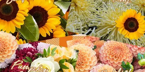 A collage of floral arrangements featuring sunflowers, mums, pumpkin centerpieces, and dahlias.