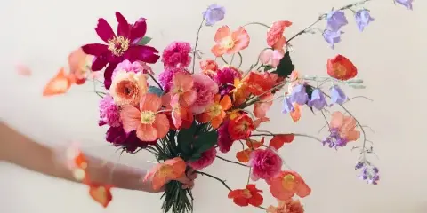 A hand holding a colorful, loose bouquet of garden flowers including ranunculus and cosmos against a neutral background.