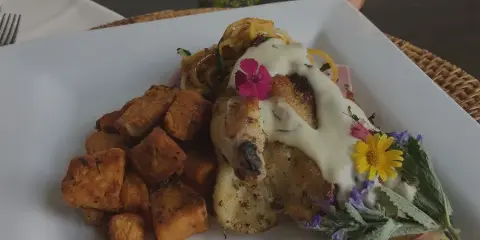 A plated meal featuring roasted potatoes and a protein dish with cream sauce and edible flower garnishes on a white square plate.