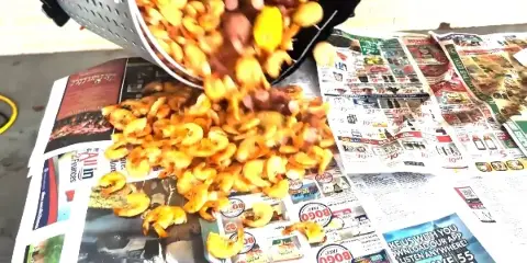 Catering spread by Mystic Catering