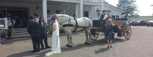 A bride and groom standing next to a white horse-drawn carriage at a wedding venue.