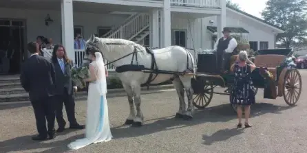 A bride and groom standing next to a white horse-drawn carriage at a wedding venue.