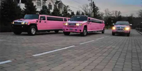 A fleet of pink Hummer limousines and a dark SUV parked on a paved driveway.