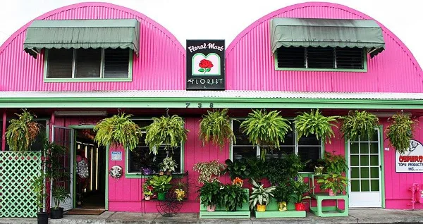 Exterior view of the pink Floral Mart storefront in Hilo, Hawaii, featuring hanging ferns and potted plants.