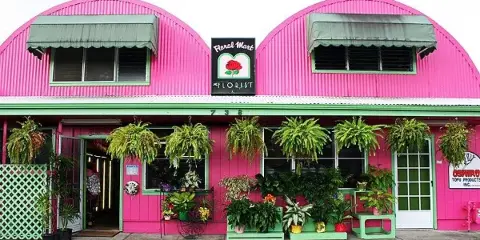 Exterior view of the pink Floral Mart storefront in Hilo, Hawaii, featuring hanging ferns and potted plants.