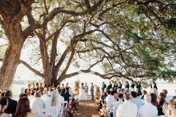 Outdoor wedding ceremony under a large tree with a bride and groom exchanging vows in front of seated guests.