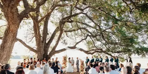 Outdoor wedding ceremony under a large tree with a bride and groom exchanging vows in front of seated guests.