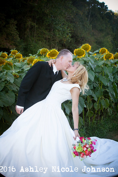 A bride and groom kissing in a field of sunflowers.