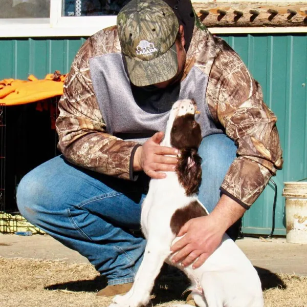 A person in a LaSada Lodge cap and camouflage jacket crouching with a white and brown hunting dog.