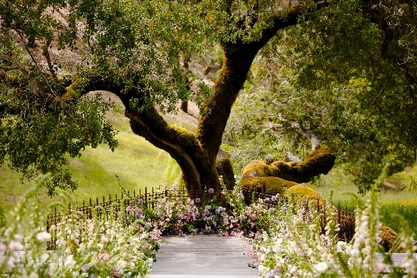 A wooden walkway lined with lush, organic floral arrangements in a garden setting.