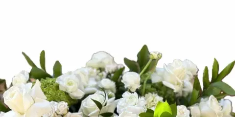 A close-up of a white and green floral arrangement featuring roses and hydrangeas.