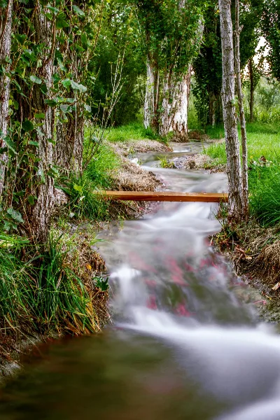 A serene stream flowing through a lush, green wooded area with a small wooden bridge.