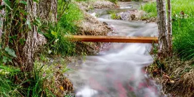A serene stream flowing through a lush, green wooded area with a small wooden bridge.