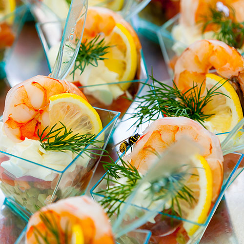 Close-up of shrimp appetizers garnished with lemon slices and fresh dill in small glass cups.